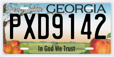 GA license plate PXD9142
