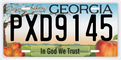 GA license plate PXD9145