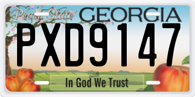 GA license plate PXD9147