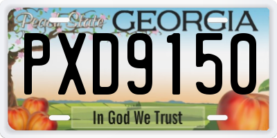GA license plate PXD9150