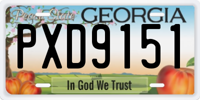 GA license plate PXD9151