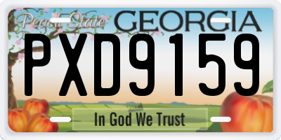 GA license plate PXD9159
