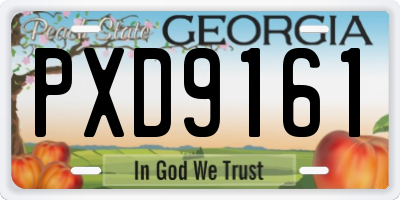 GA license plate PXD9161