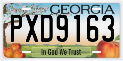 GA license plate PXD9163