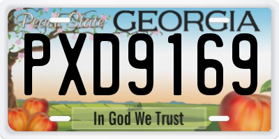 GA license plate PXD9169