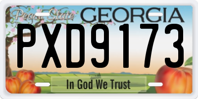 GA license plate PXD9173