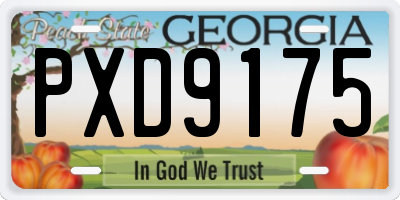 GA license plate PXD9175
