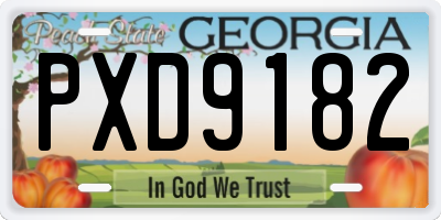 GA license plate PXD9182