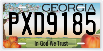 GA license plate PXD9185