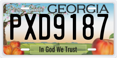 GA license plate PXD9187