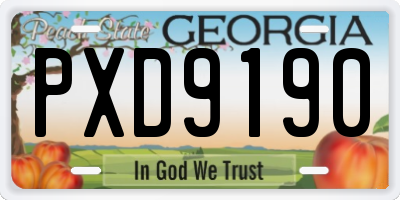 GA license plate PXD9190