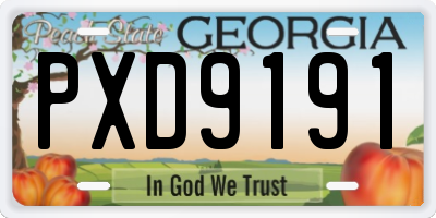 GA license plate PXD9191