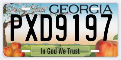 GA license plate PXD9197