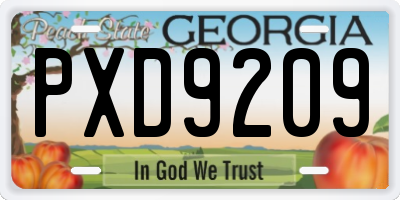GA license plate PXD9209