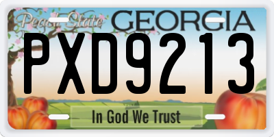 GA license plate PXD9213