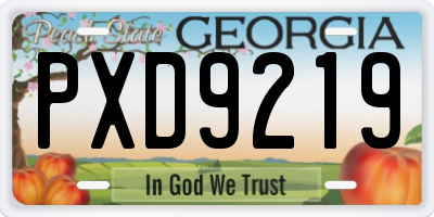 GA license plate PXD9219