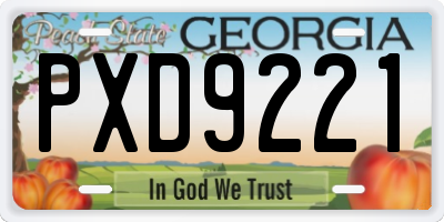 GA license plate PXD9221