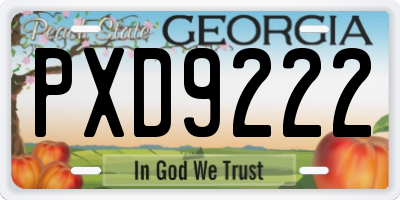 GA license plate PXD9222