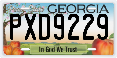 GA license plate PXD9229