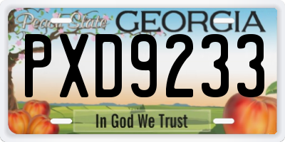 GA license plate PXD9233