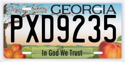 GA license plate PXD9235