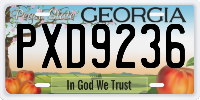 GA license plate PXD9236