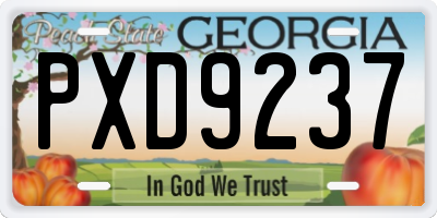 GA license plate PXD9237
