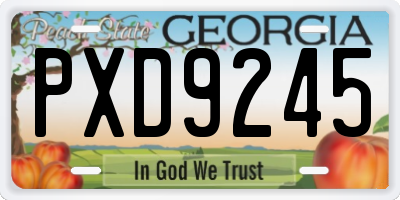 GA license plate PXD9245