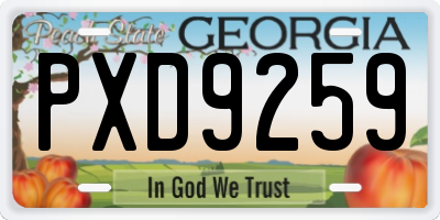 GA license plate PXD9259