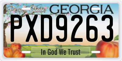 GA license plate PXD9263