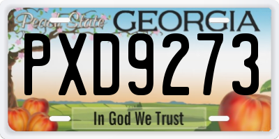 GA license plate PXD9273