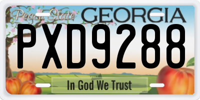 GA license plate PXD9288