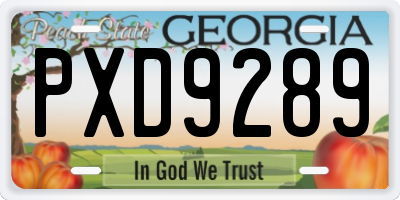 GA license plate PXD9289