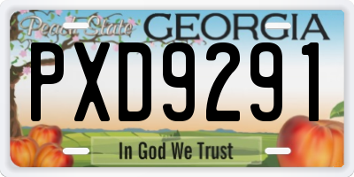GA license plate PXD9291