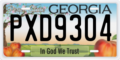 GA license plate PXD9304