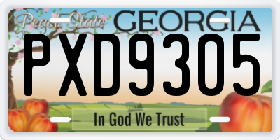 GA license plate PXD9305