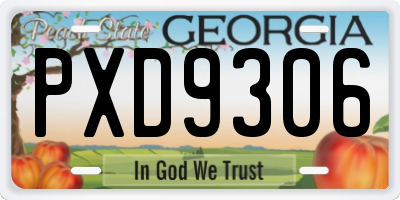 GA license plate PXD9306