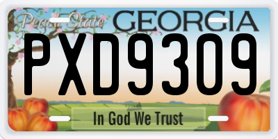 GA license plate PXD9309