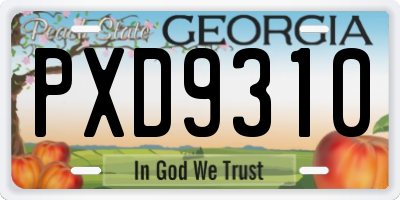GA license plate PXD9310