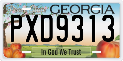 GA license plate PXD9313