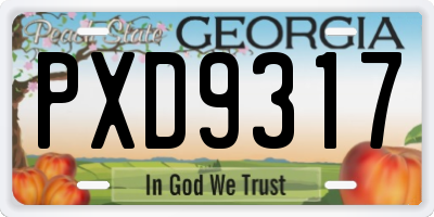 GA license plate PXD9317