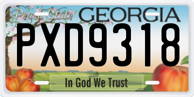 GA license plate PXD9318