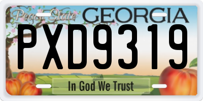 GA license plate PXD9319