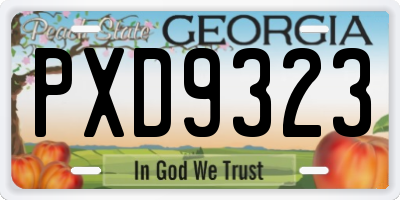 GA license plate PXD9323