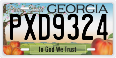 GA license plate PXD9324