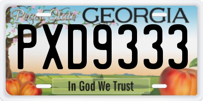 GA license plate PXD9333