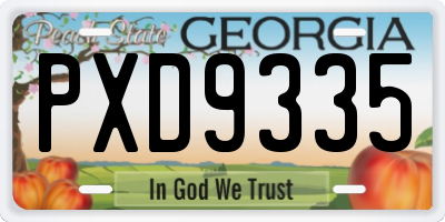 GA license plate PXD9335