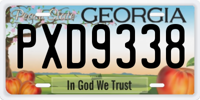 GA license plate PXD9338