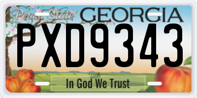GA license plate PXD9343