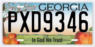 GA license plate PXD9346